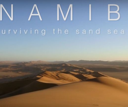 Namib. Surviving the Sand Sea